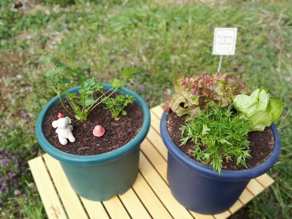 f:id:notefarm-kagoshima:20170330072832j:plain