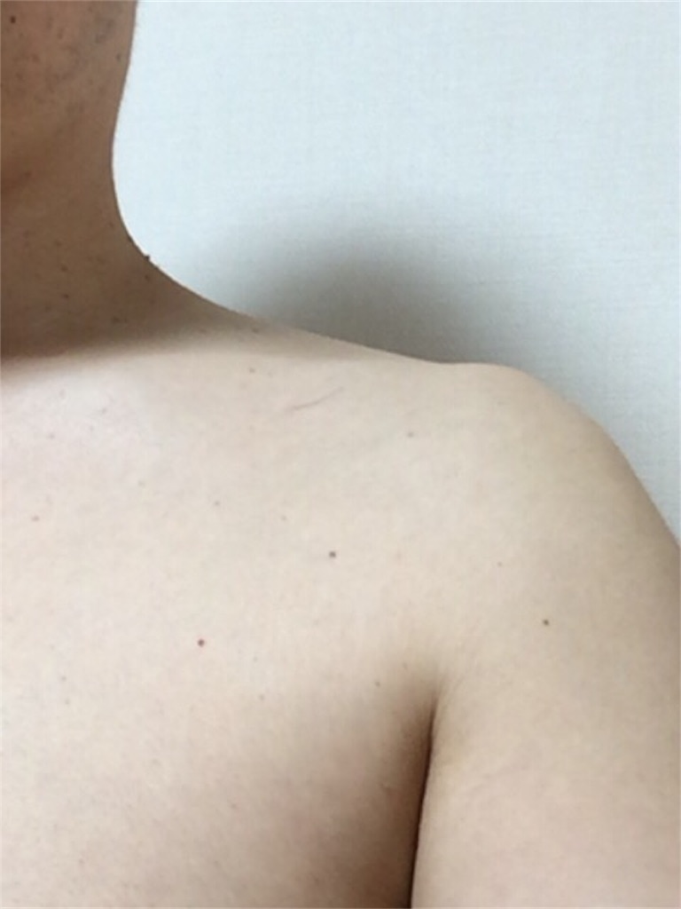 f:id:notmuch:20170730161005j:image