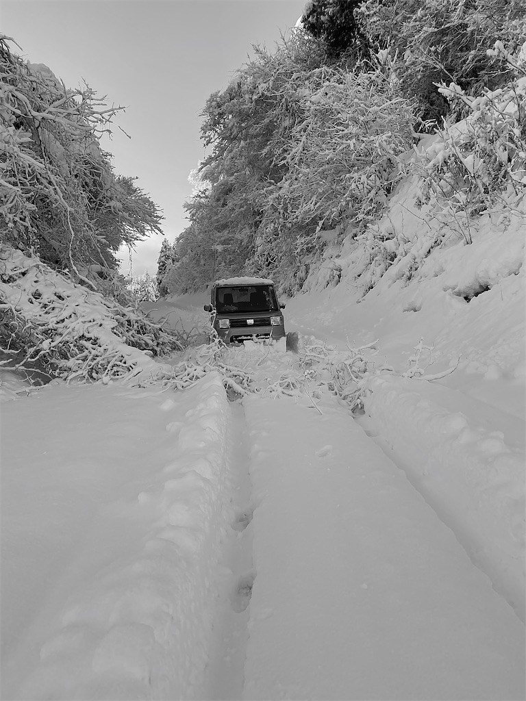 f:id:noto_life:20201219233416j:image
