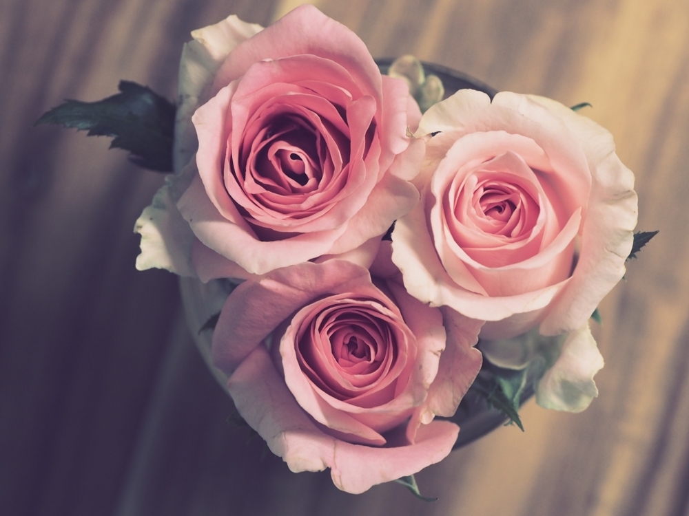 f:id:notrehistoire:20180527193444j:plain f:id:notrehistoire:20180527193444j:plain