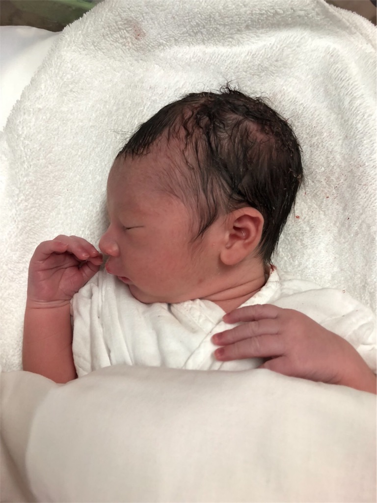 f:id:notrehistoire:20180921204754j:image f:id:notrehistoire:20180921204754j:image