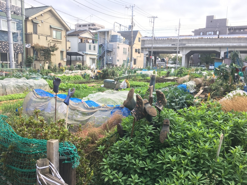 f:id:nottawashi:20181028234455j:plain