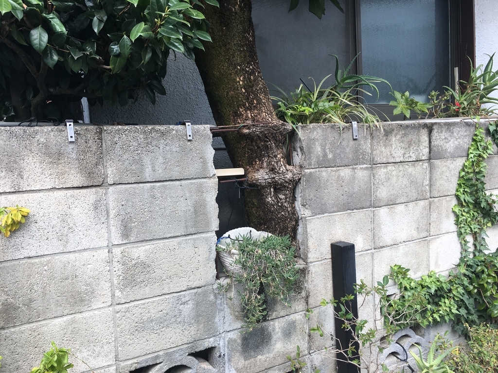 f:id:nottawashi:20181028234621j:plain