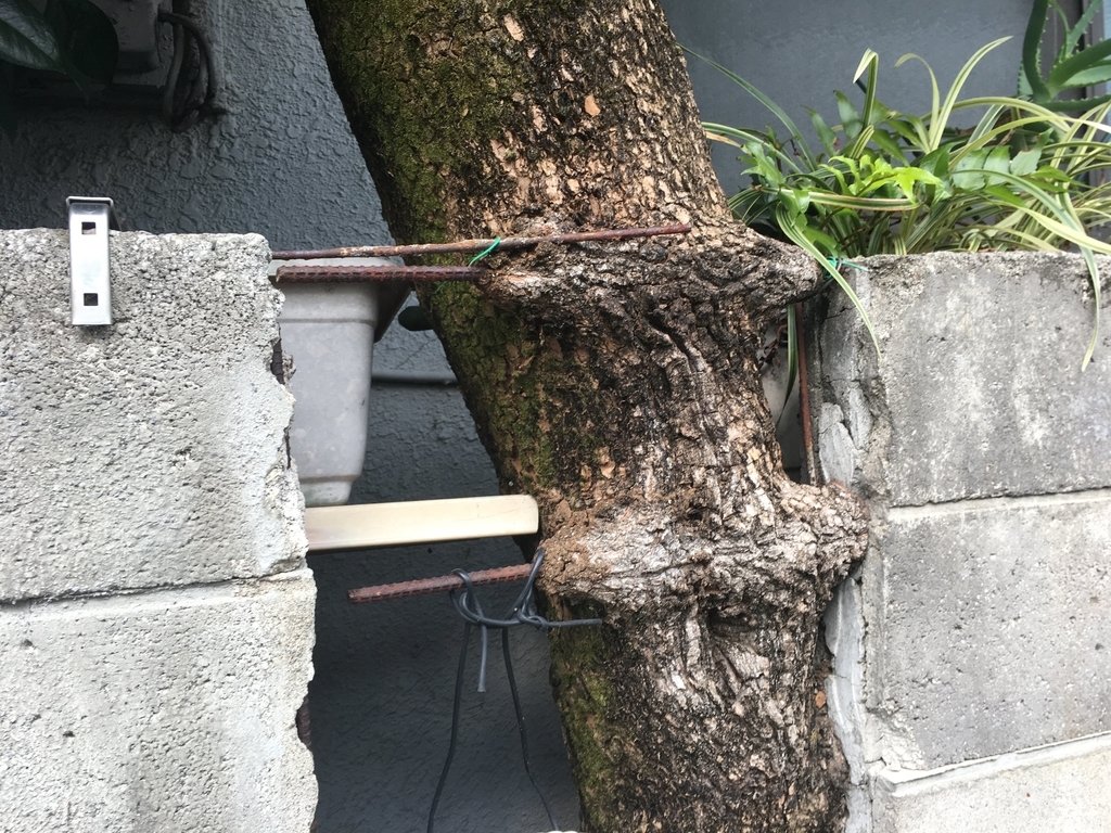 f:id:nottawashi:20181028234644j:plain