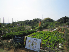 f:id:nou_kon:20091004235209j:image