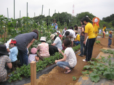 f:id:nou_kon:20091024224529j:image