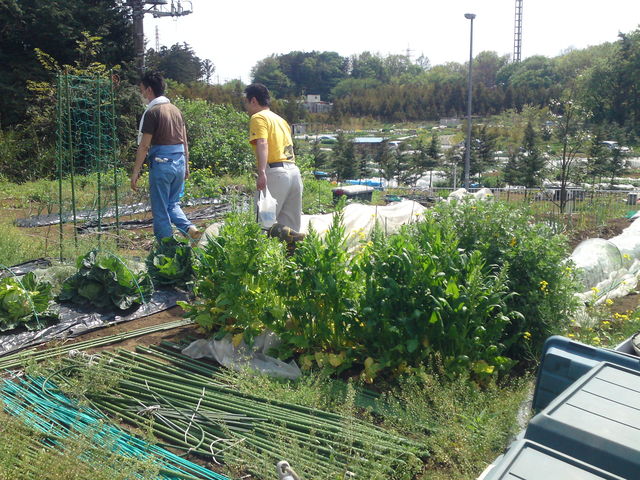 f:id:nou_kon:20110429140012j:image:w360
