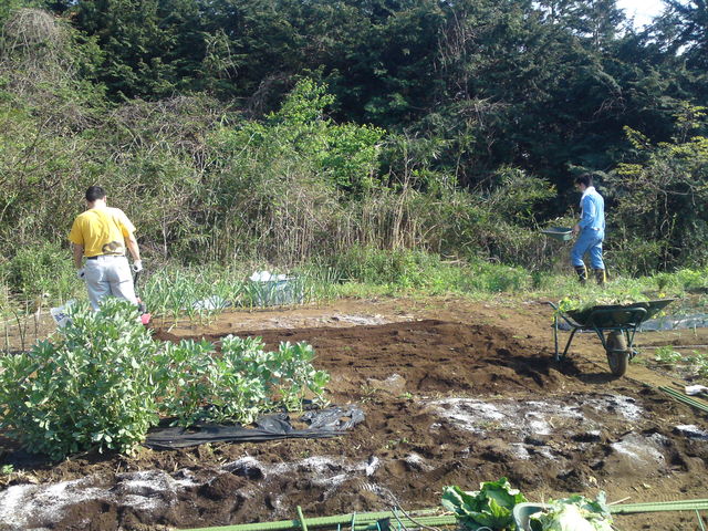 f:id:nou_kon:20110429151644j:image:w360