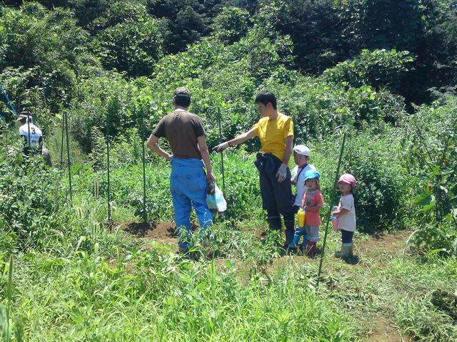 f:id:nou_kon:20110716111520j:image:w360
