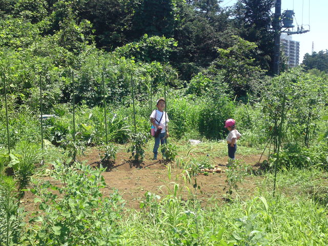 f:id:nou_kon:20110716123627j:image:w360