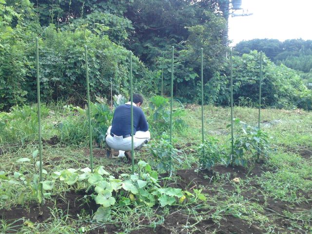 f:id:nou_kon:20110730132936j:image:w360