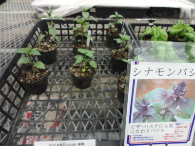 f:id:nouenn:20130509113720j:image