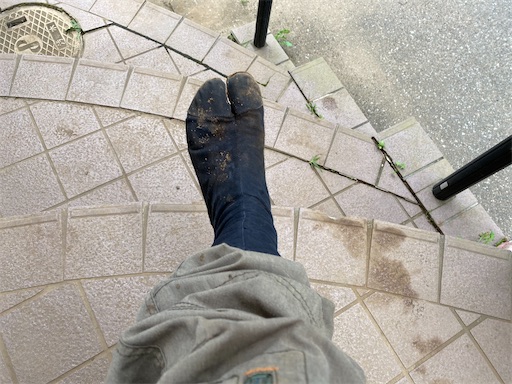 f:id:nougyou01:20200711115703j:image f:id:nougyou01:20200711115703j:image