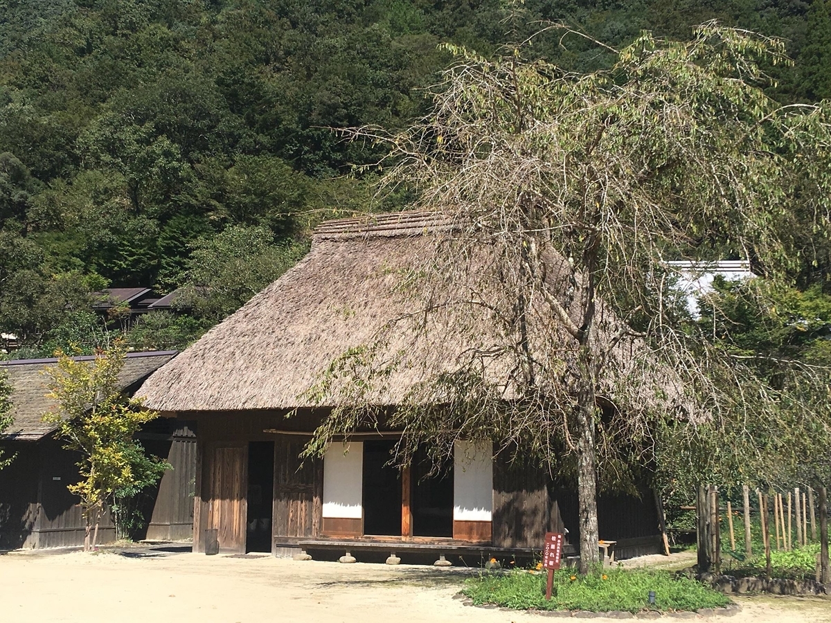 f:id:nouka-restaurant:20191024173359j:plain