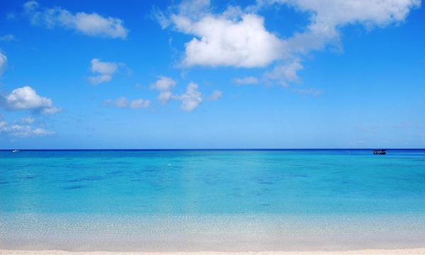 f:id:nounai888:20170311022405j:plain f:id:nounai888:20170311022405j:plain