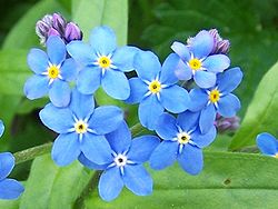f:id:nounai888:20170605180830j:plain f:id:nounai888:20170605180830j:plain