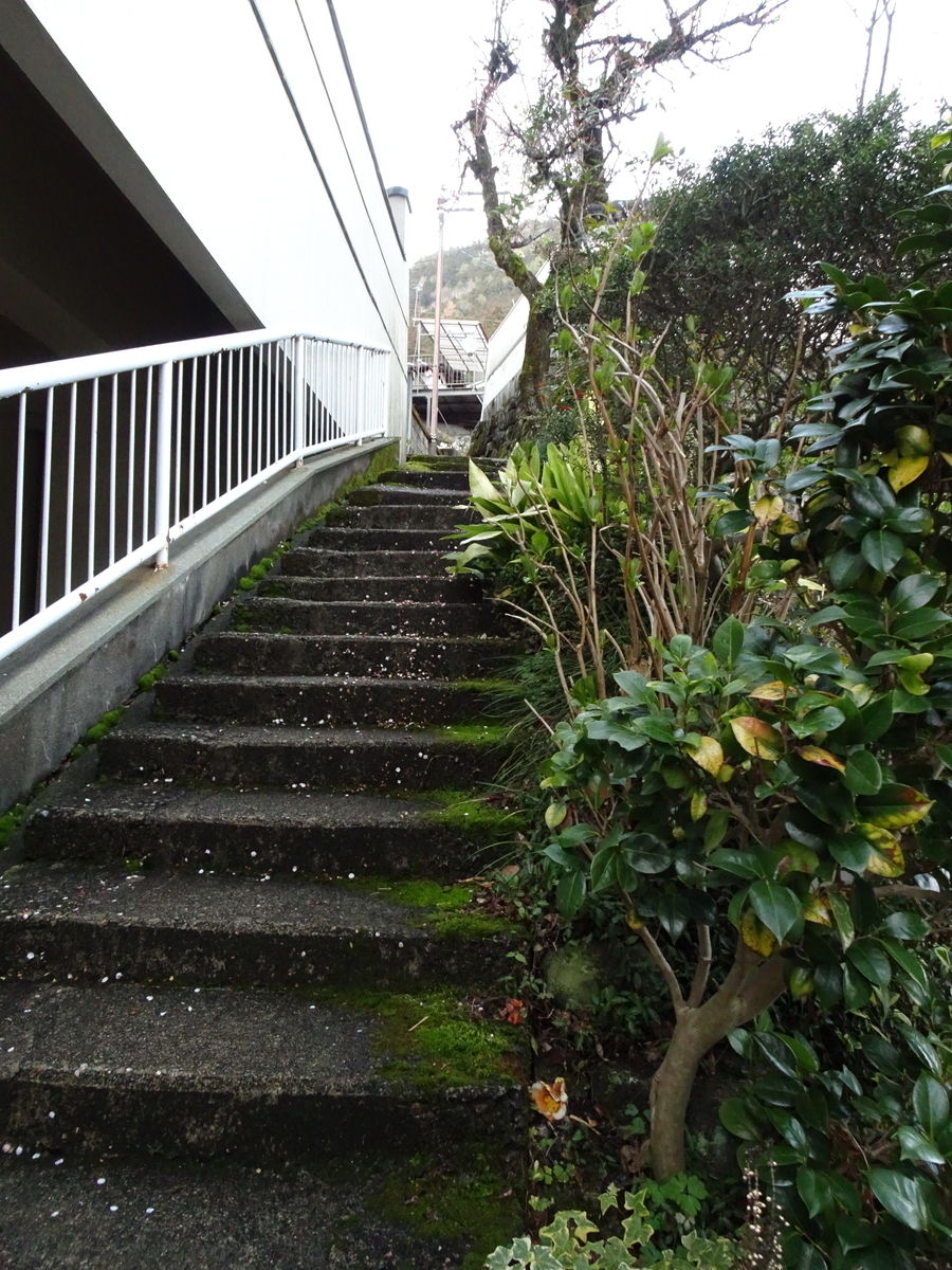 f:id:nounaikaikaku:20200322202841j:plain f:id:nounaikaikaku:20200322202841j:plain