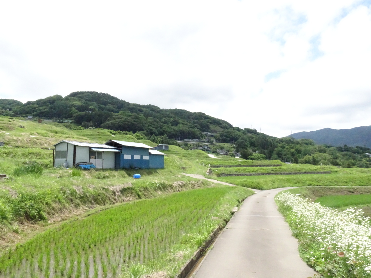 f:id:nounaikaikaku:20200621195556j:plain