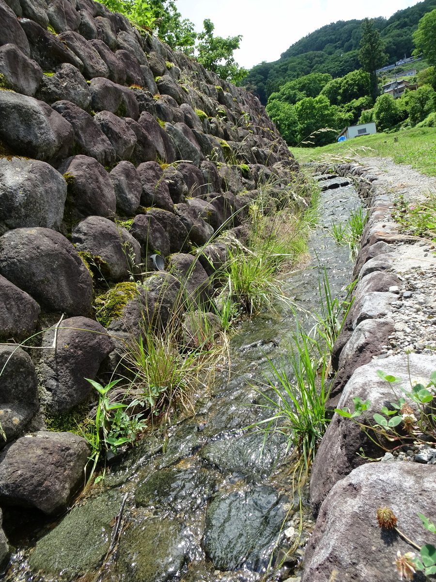 f:id:nounaikaikaku:20200621195650j:plain