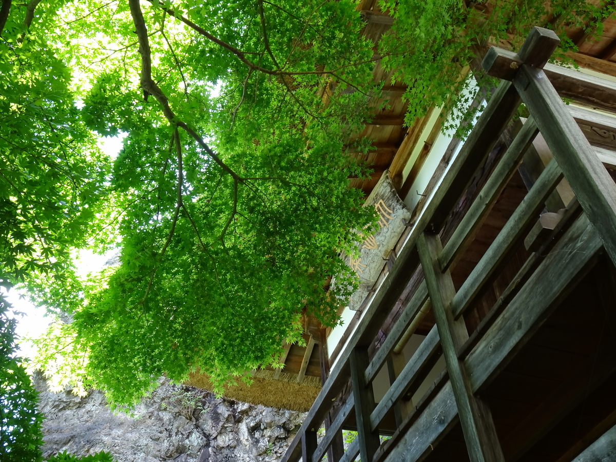 f:id:nounaikaikaku:20200621195741j:plain