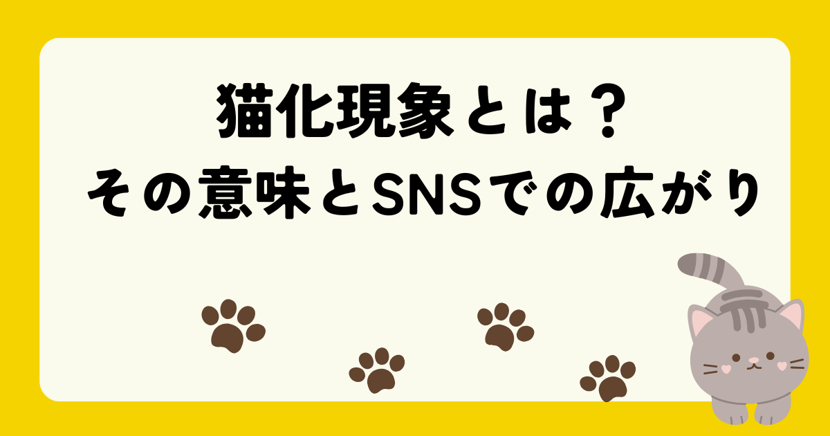 猫化現象とは?その意味とSNSでの広がり - 知る見る!図鑑