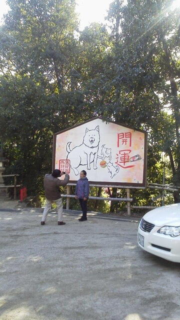 画像を等倍で表示します 画像