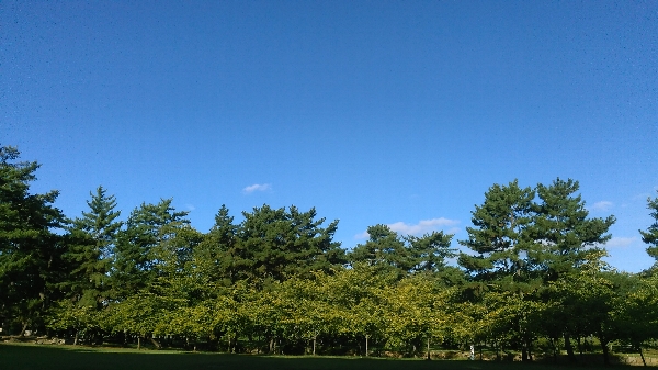 f:id:novaaql1993:20190817164153j:plain