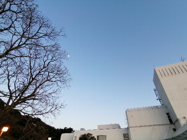 f:id:novaaql1993:20200306175104j:plain f:id:novaaql1993:20200306175104j:plain