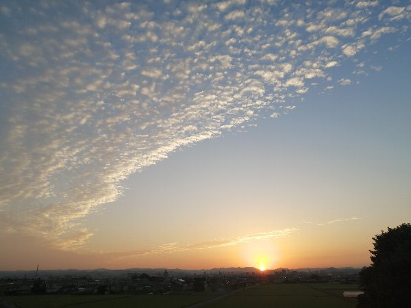 f:id:novaaql1993:20201012112427j:plain