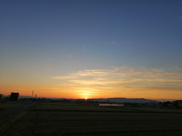 f:id:novaaql1993:20201204091255j:plain