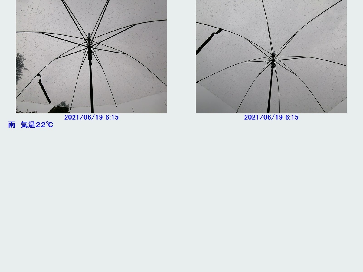 f:id:novaaql1993:20210619155421j:plain