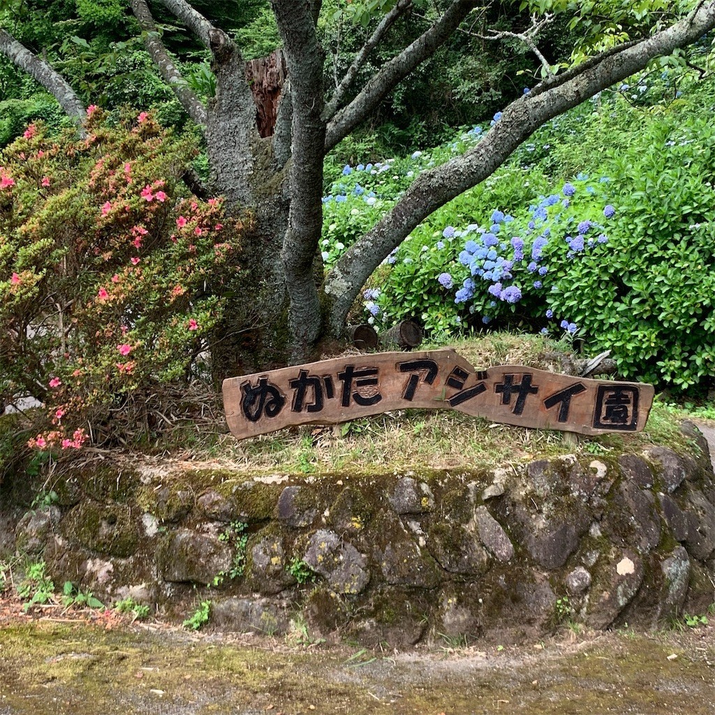 f:id:novchan:20200628182316j:image