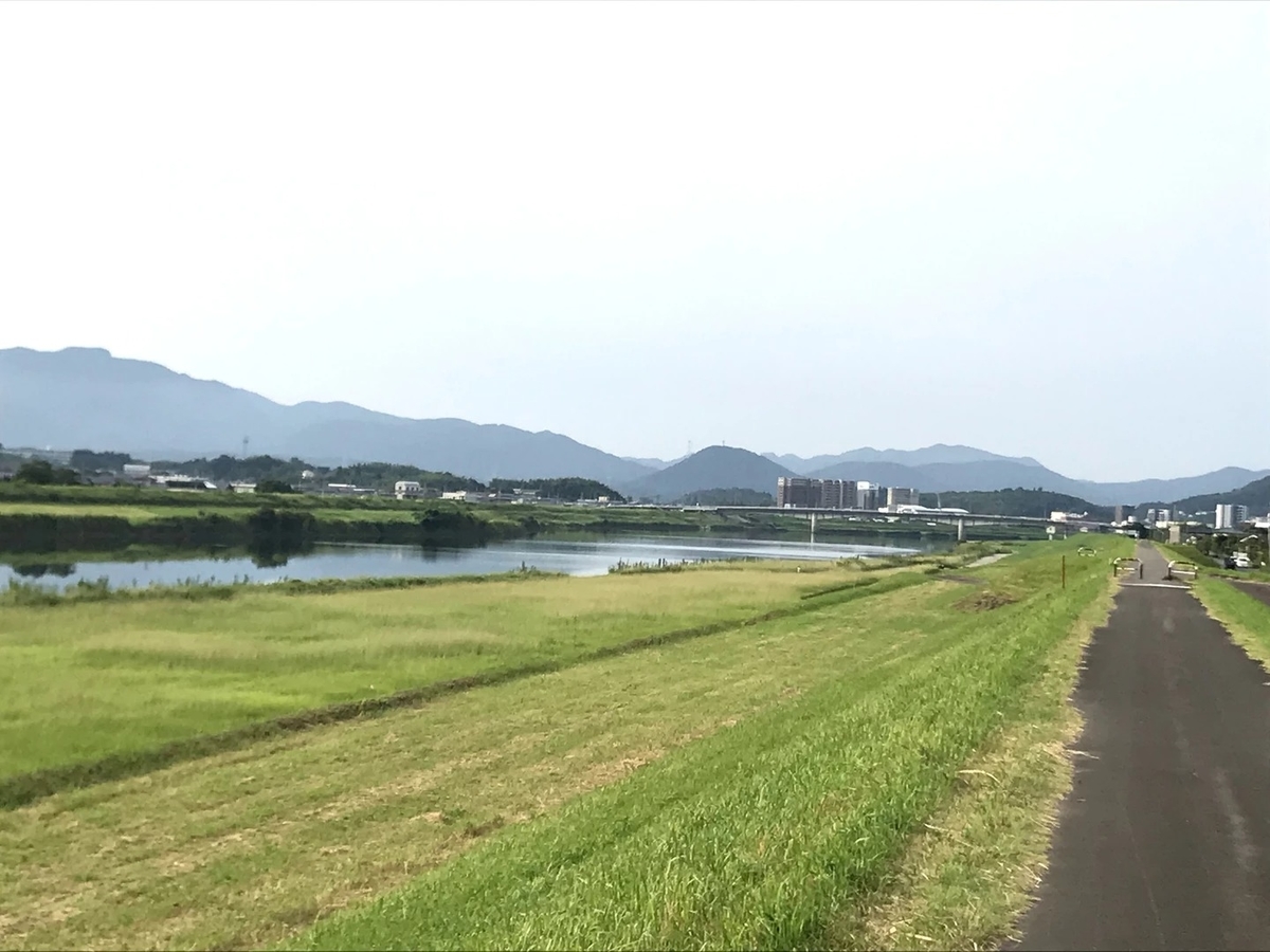 f:id:novitanet:20200501182117j:plain