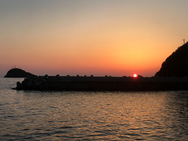 f:id:novooo:20190611224027j:plain f:id:novooo:20190611224027j:plain