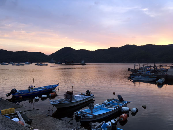 f:id:novooo:20190611225251j:plain f:id:novooo:20190611225251j:plain