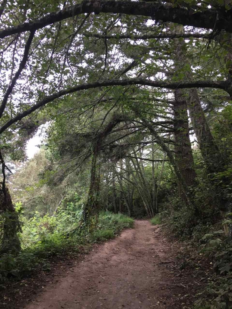 Coastal Trail