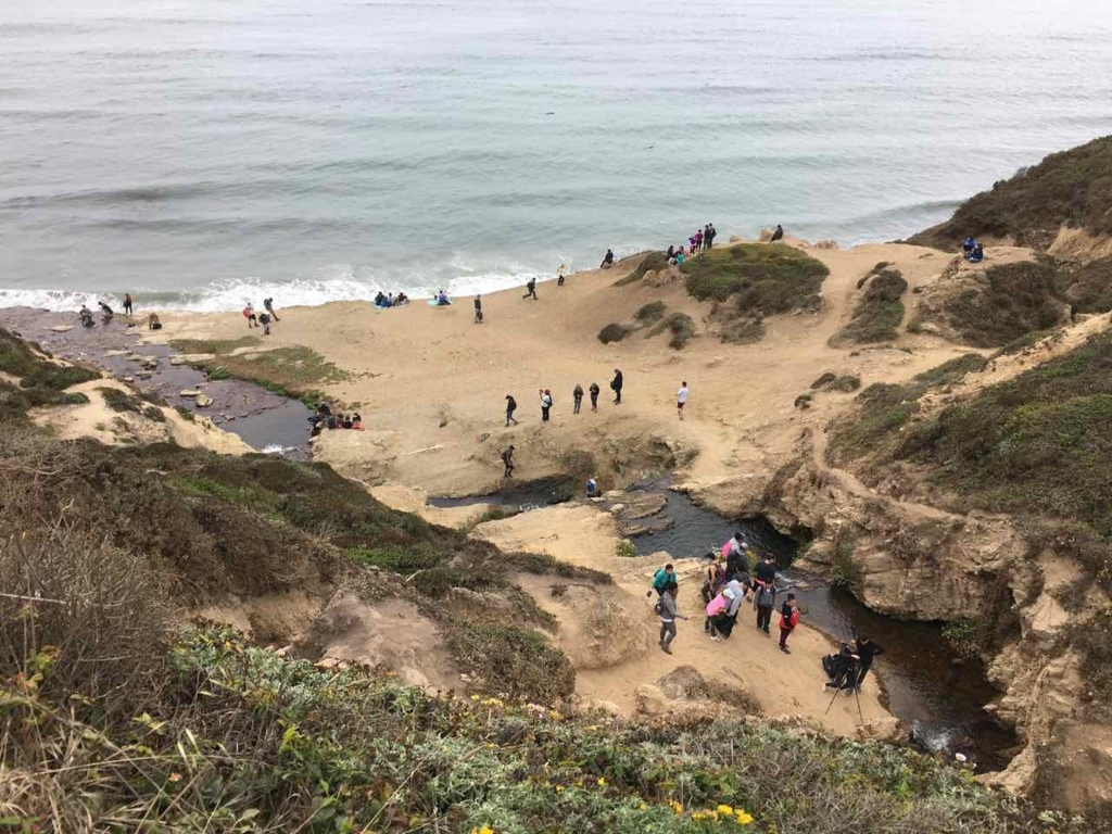 Alamere Fallsの周囲の様子