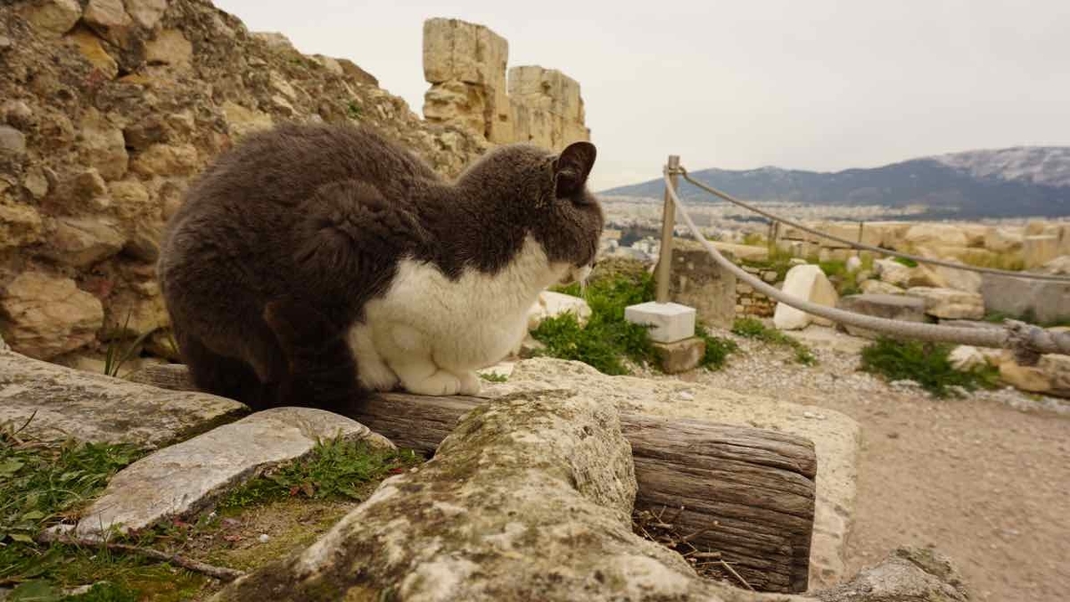 ギリシャ　パルテノン神殿