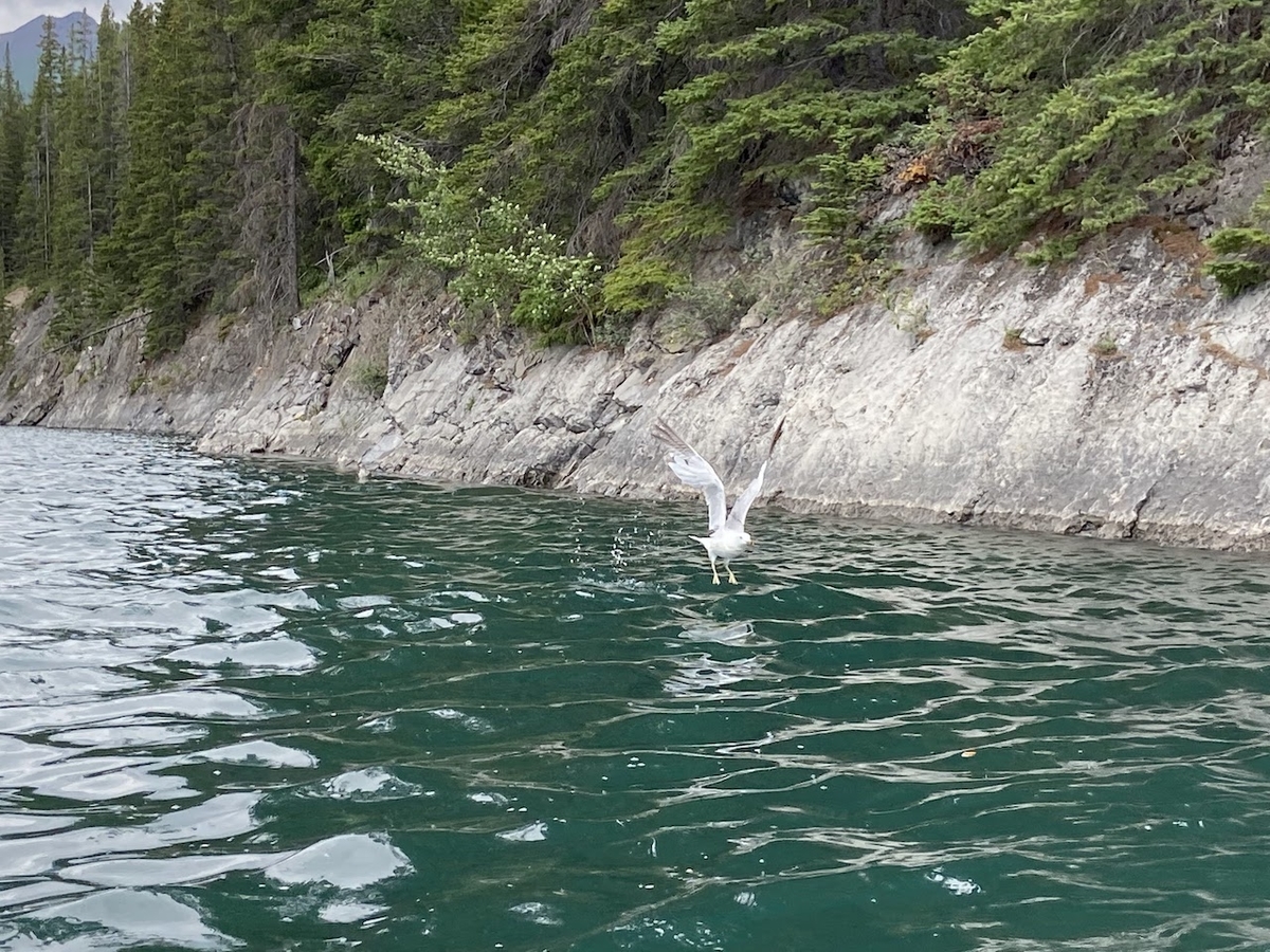 Lake Minnewanka