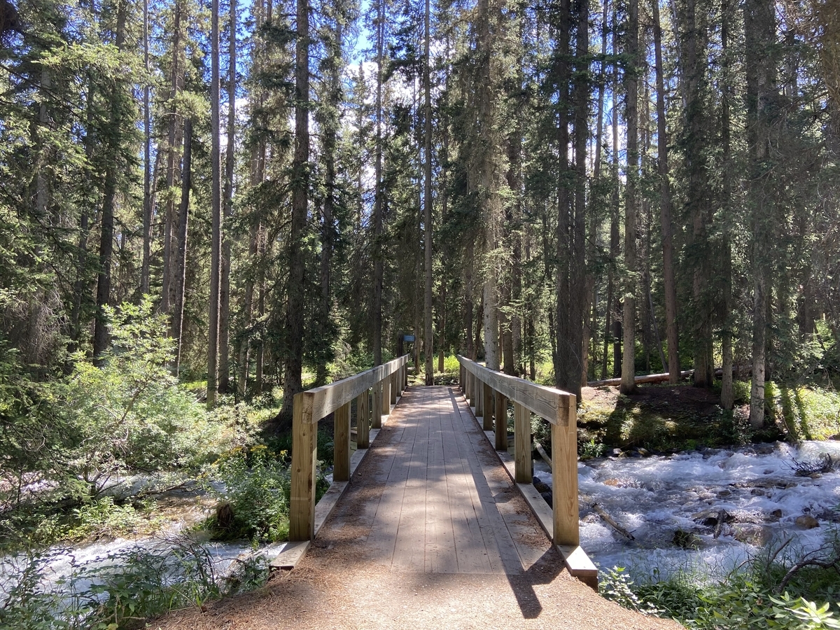 Creek Trail