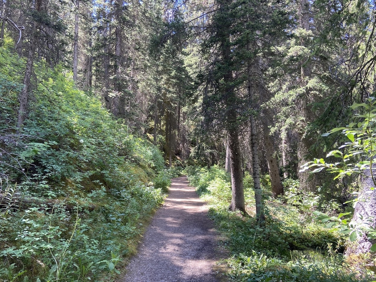 Creek Trail