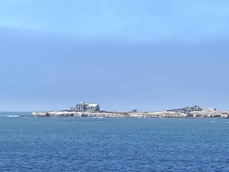 Ano Nuevo Island