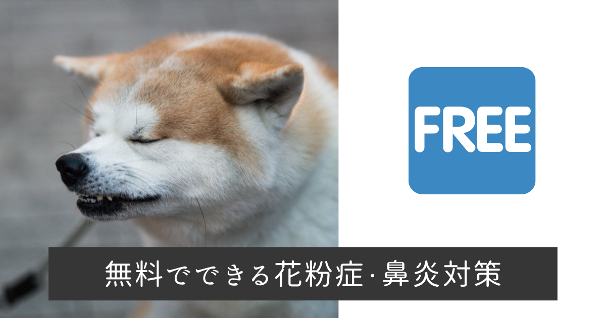 f:id:novsnowlife:20210317221002p:plain