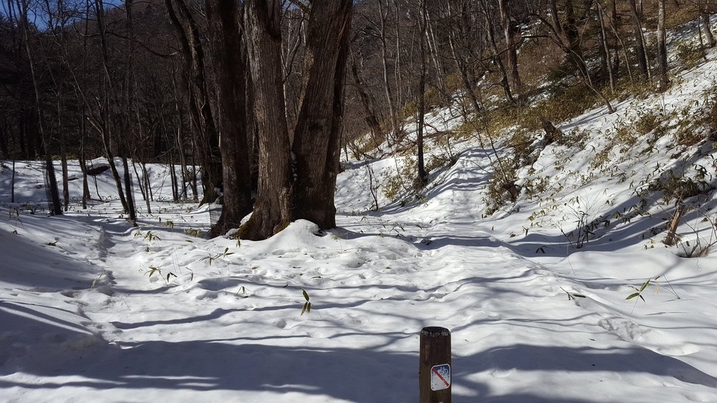 f:id:nowaytool:20190222052702j:plain f:id:nowaytool:20190222052702j:plain