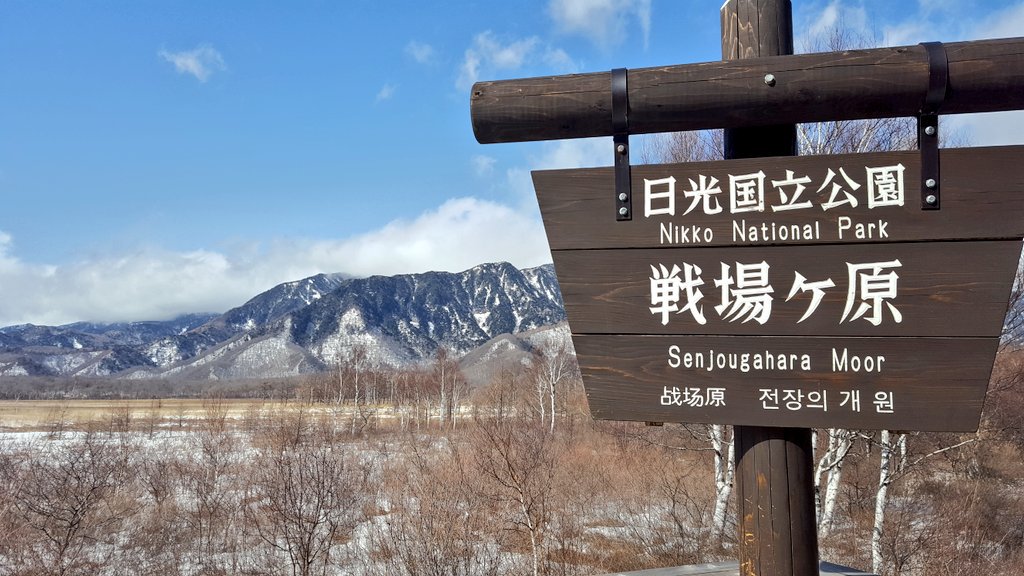 f:id:nowaytool:20190222054044j:plain f:id:nowaytool:20190222054044j:plain