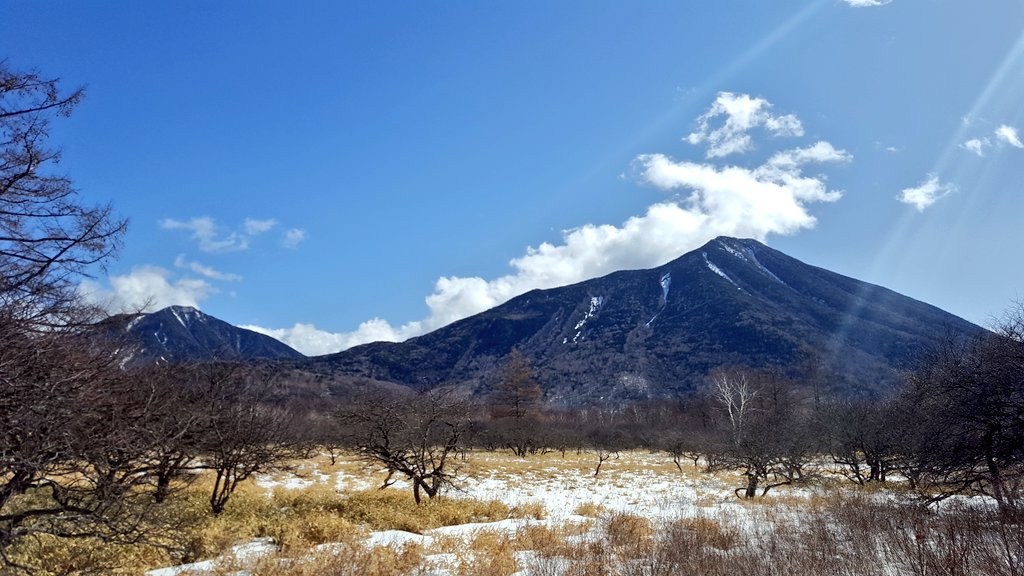 f:id:nowaytool:20190222054122j:plain f:id:nowaytool:20190222054122j:plain