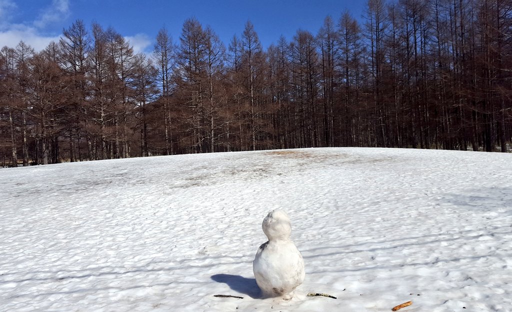 f:id:nowaytool:20190222072126j:plain f:id:nowaytool:20190222072126j:plain