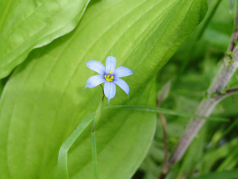 f:id:noyama_ko:20190602094944j:plain f:id:noyama_ko:20190602094944j:plain