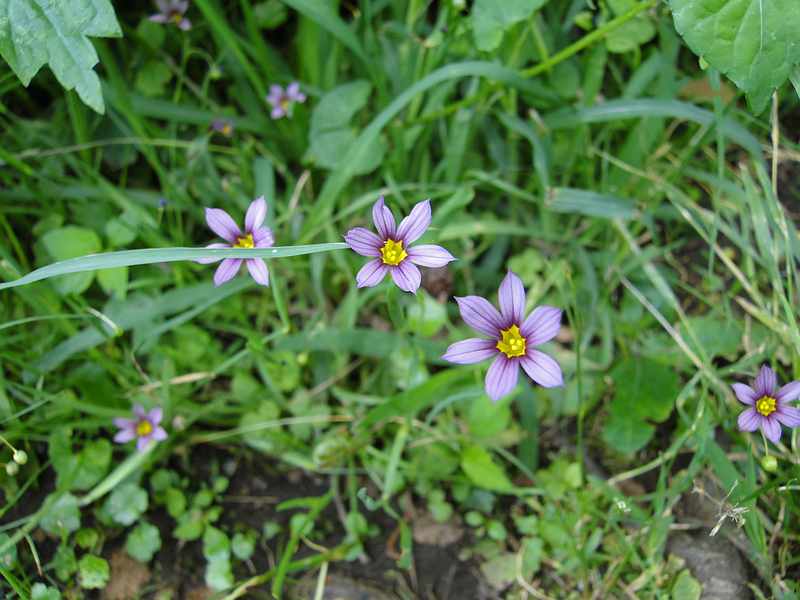 f:id:noyama_ko:20190602095006j:plain f:id:noyama_ko:20190602095006j:plain