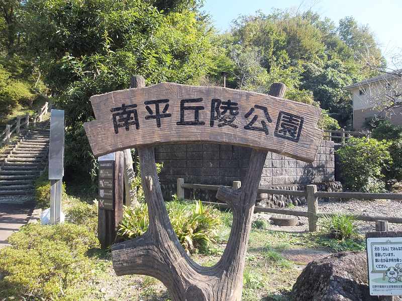 f:id:noyama_ko:20191109224514j:plain f:id:noyama_ko:20191109224514j:plain